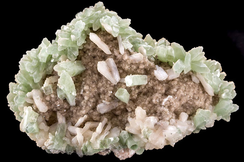 Jewelry and Fossil Shop of Steamboat Springs, Co