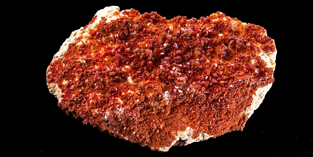 Jewelry and Fossil Shop of Steamboat Springs, Co