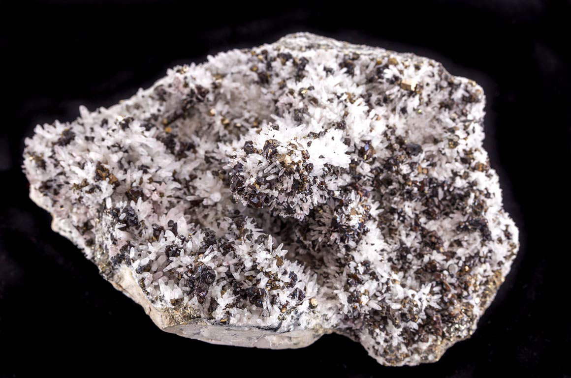 Jewelry and Fossil Shop of Steamboat Springs, Co