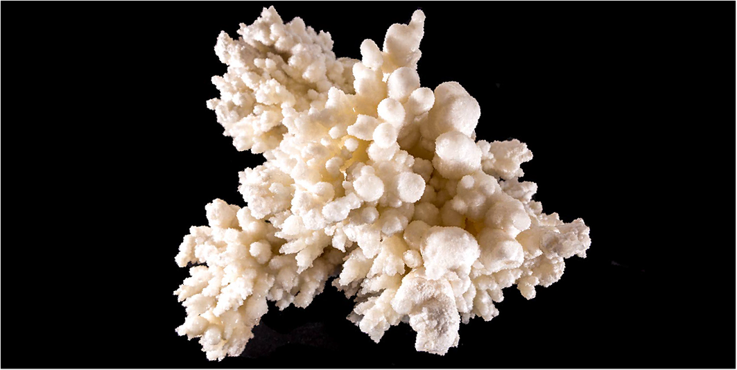 Jewelry and Fossil Shop of Steamboat Springs, Co