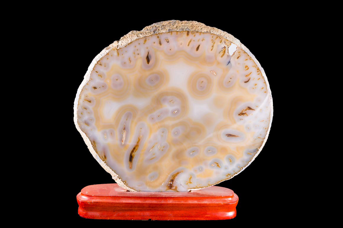 Jewelry and Fossil Shop of Steamboat Springs, Co