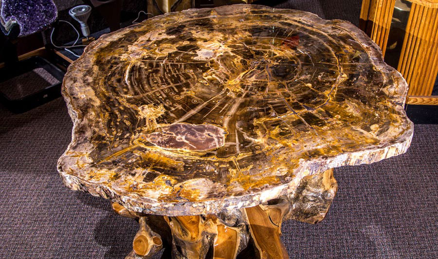 Jewelry and Fossil Shop of Steamboat Springs, Co