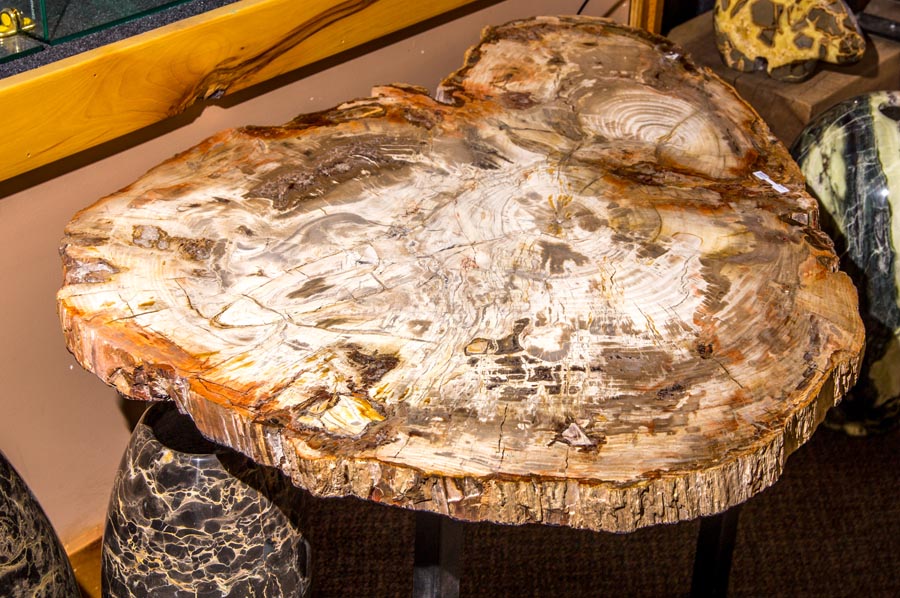 Jewelry and Fossil Shop of Steamboat Springs, Co